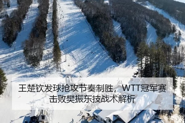 王楚钦发球抢攻节奏制胜，WTT冠军赛击败樊振东技战术解析